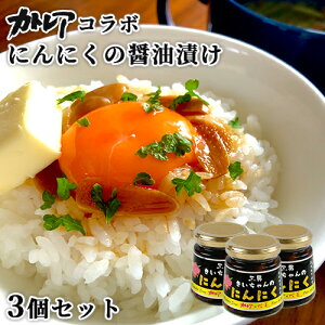JgAݖgp ͂̂̑f ɂɂ̂傤Ђ 140g×3Zbg 啪Yf т̂   Oitayz BUO