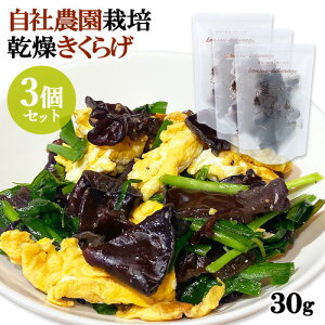 啪Y 100Д_͔| 炰 X^hpbN 25g×3Zbg LEGCt@[ yz