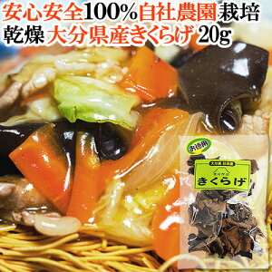 啪쒬YLNQ 炰 15g S100%Д_͔|LNQ LEGCt@[