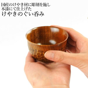 Yގgp {dグ ₫̂ۂ El  蒤  邵 O  {  ؍H[yz