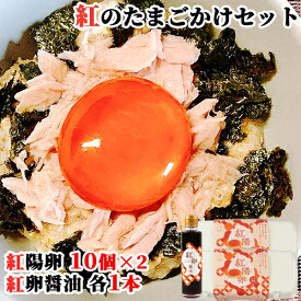 紅のたまごかけセット(紅陽卵10個入×2パック 紅卵醤油(175g)) たまとよ 東洋物産【送料無料】