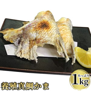 ̂蔲Q ^̑₩ Ղ1kg(10`14O)  J} Y{B^_C ^pbN Ⓚ ܂{܁yz