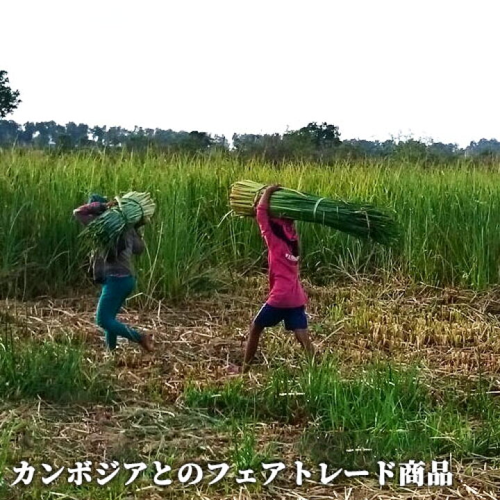 楽天市場】大分県国東市 七島藺100% やわらか円座 座布団 直径約41cm 