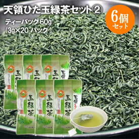 日田製茶園 天領ひた玉緑茶セット(2) (ティーバッグ 60g(3g×20パック)×6個セット)【送料込】