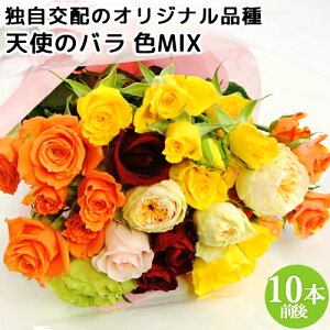 y30%OFFZ[zHׂقǈSKN Vg̃o u[PMTCY FMIX 10{O c_[ t[Mtg AWg AgGVg̃o ق񂾃oyz KTK