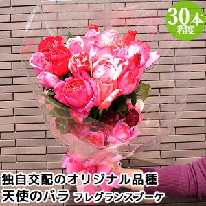 HׂقǈSKN Vg̃o tOXu[P FMIX FoS30{x c_[ t[Mtg AWg AgGVg̃o ق񂾃oyz