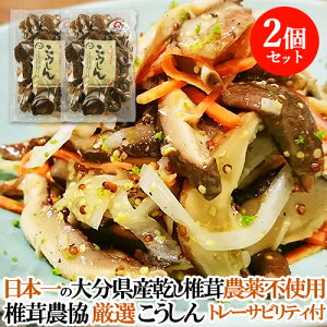 2Zbg ő{̑啪Y100 NkM؍͔|VC^P P߂ȁuM/v^bv120g 啪ő_ g[TreBtyz