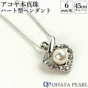 YAR^ 6~t n[g^y_g(약`F[45cm) g̃ANZT[ɂ {^ WG[ I[n^p[yMtgzyz