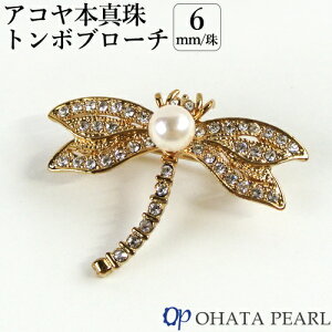 YAR^ 6~ g{u[`(F^J TCY27mm×36mm) N {^ WG[ I[n^p[yMtgzyz