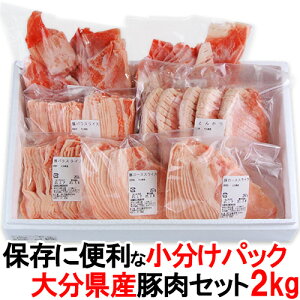 BYؓ lC4 ؓoGeB[pbN gJcXcHNxƋZpɎM([XXCX/[XƂ񂩂/΂XCX/R}؂/e500g) 2kg Zbg {{