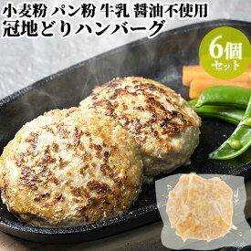 大分県産 冠地どりハンバーグ 120g 6個入り 冷凍 鶏肉 九州産 国産 地鶏 地どり おかず 惣菜 個包装 冷凍 ごちそう雲隠れ【送料込】