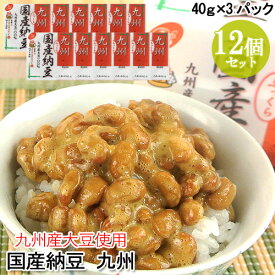 国産納豆 九州(40g×3) 12個セット 九州産大豆 本醸造醤油使用 からし付き ご飯のお供 ご飯のおとも ごはんのお供 朝食 なっとう 二豊フーズ【送料込】 OIKI