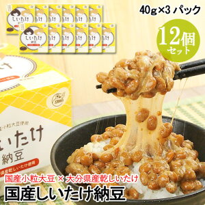 啪Yőgp Y[(40g×3) 12Zbg Q^ 哤 Lt[Yyz