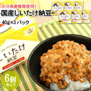 啪Yőgp Y[(40g×3) 6Zbg Q^ 哤 Lt[Y yz