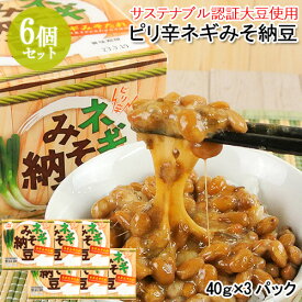 ピリ辛ネギみそ納豆(40g×3) 6個セット サステナブル認証大豆 大分県産ねぎ あわせみそ ご飯のお供 ご飯のおとも ごはんのお供 朝食 なっとう 二豊フーズ【送料込】 OIKI