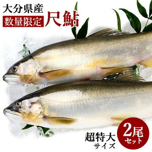̎ڃA 傠(27cmȏ) 2 ʏTCY1.5{ Bw̐炿 ̉Ă Y  Yn Ⓚ эKyz