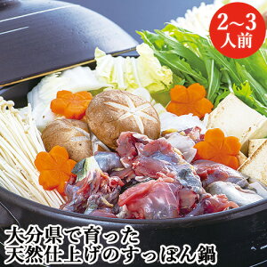 ƂŎyɃXb| ҂̂肷ۂZbg 2l`3lO( X[v || Mq傤 bpb ۂ`W) Y R[Q { LYyz