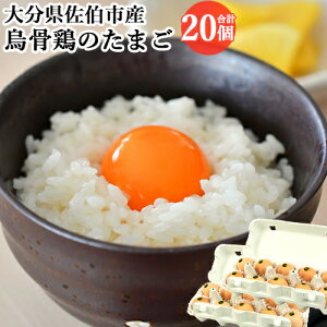 ̂т̂ѕ G{̂܂ 10×2pbN(v20)Zbg   h{Lx Yn Y BY 啪sY ① _ Cyz