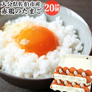 ZȖ킢 Ԍ{̂܂ 10×2pbN(v20)Zbg Yn Y BY 啪sY { ① _ Cyz