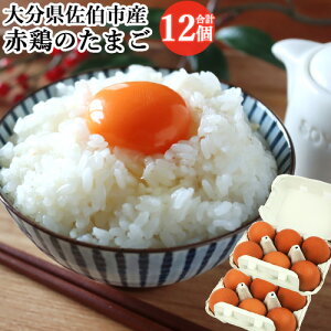 ZȖ킢 Ԍ{̂܂ 6×2pbN(v12)Zbg Yn Y BY 啪sY { ① _ Cyz
