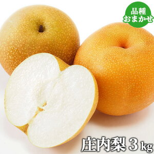 ̂꒼ 啪Y (i킨܂) 3kg ̂a BY N[ H V Ñ 쐅 HȂǁ S΂啪F ͂t@[yz