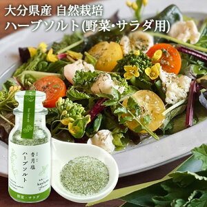 啪YR͔|an[ugp  T_Eؗp 60g n[u\g Y(C^ApZ/}[S[h/tFl/}W/) wsgp  kaoluna 