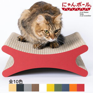 i{[gp ܌ ɂ{[ ܂Ƃ o[X 10FIׂ O 370mm×140mm d1.7kg lRObY CeA _{[ { JƁyz