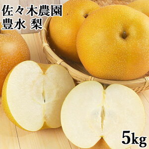 _ƊẪ݂oXƂꂽZȖ킢 dY  L(ق) 5kg 啪Y Ȃ t[c ʎ Y BY Xؔ_yz