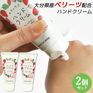 啪Yx[cz x[c nhN[ 40g×2 ێ  n  C`S yY ׂ[ 〈yz