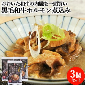 希少部位をじっくり煮込んだ 黒毛和牛ホルモン煮込み 150g×3 おおいた和牛 ギアラ ミノ 白味噌 冷凍 牛モツ 惣菜 おかず おつまみ レトルト 簡単調理 加工食品 国産 九州 大分県 羽田野商店【送料込】