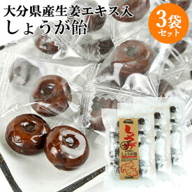 大分県産生姜を使用 おおいたあめ伝説 しょうが飴 100g×3袋セット 個包装 国産 キャンディ お茶請け おやつ 懐かしい味 大分物産【送料込】