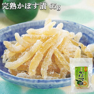 啪YJ{Xgp n ڂ 65g ۑEFsgp 啪   The `bNt 퉷 Y