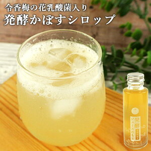 _̓cYJ{X炲Ɣy yW[X̂ cڂ 110ml 3`4{ ڂVbv Y_  ߍ~̉ԓ_ۓ CpNg