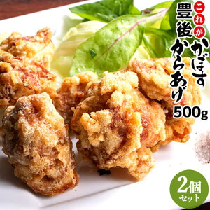 dqWŉ߂邾 啪 ꂪLォڂ炠 500g×2(v1kg)Zbg Y{gp g J{X ` y  ٓ ܂ Ⓚ fJt[Yˁy