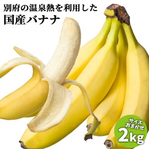 �啪���Y �͔|���Ԓ��_��s�g�p �ʕ{����o�i�i �T�C�Y�s���� ��2kg �����Y �t���[�c �Y�n���� ������p�ȈՕ �ʕ{����t���[�c�t�@�[���y�������z