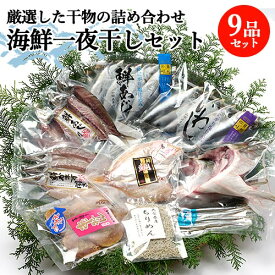 干物好きのための 海鮮一夜干したっぷり9品セット (あじみりん干し/いわし丸干し/あじ開き/かます開き/さより丸干し/ちりめん/ブリカマ/鯛/あじ丸干し) 酒の肴 つまみ 山忠【送料込】