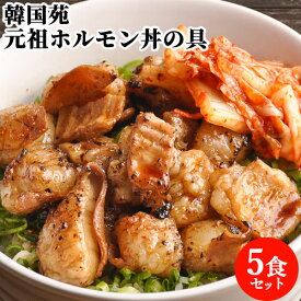 元祖ホルモン丼の具 110g×5袋セット お取り寄せグルメ お土産 大分県 別府市 肉 ドン おかず ご飯 冷凍 ほるもん 韓国苑 【送料込】