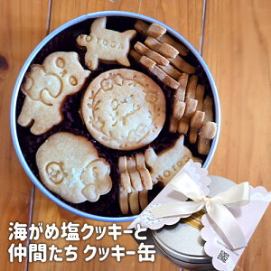 Yfގgp C߉NbL[ƒԂ NbL[(130g) 啪Y_͔| 啪YȂȂ̉ 啪Y Mtg 蕨 o^C Im[KVyz