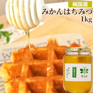 Y L ݂݂͂ KXr Ղ1kg MI YVR100% ݂͂ sAnj[ ₨َqɍg̈ݕɂsb^ Ỉyz