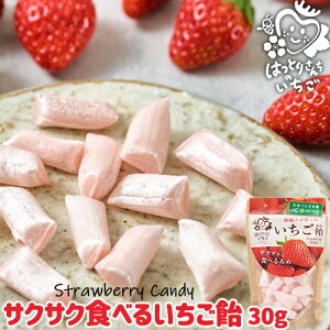 啪Yuh x[cgp ͂Ƃ肳񂿂̐Hׂ邢 30g UNUNH Hׂ鈹 t[cLfB[  yY 䕉(_)