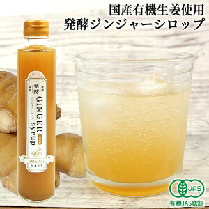 L@fގgp ISi yWW[Vbv 200ml L@JASF YL@I L@݂ L@ I[KjbN NtgWWG[  㓡