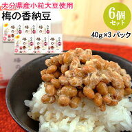 国産 梅の香納豆(40g×3) 6個セット 芳醇な梅薫るタレ付き 大分県産小粒大豆使用 なっとう うめ 朝食 お…
