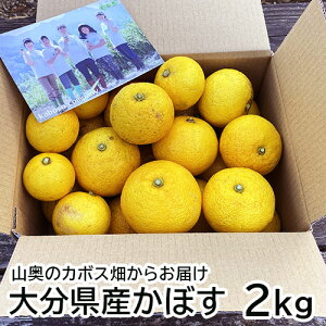 啪Y ڂ 啪1(킠)  2kg Gߌ O[J{X(8`10) CG[J{X(11`12) nڂ ڂTV Kabosu Company yz