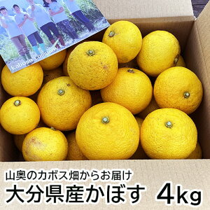 啪Y ڂ 啪1(킠)  4kg Gߌ O[J{X(8`10) CG[J{X(11`12) nڂ ڂTV Kabosu Company yz