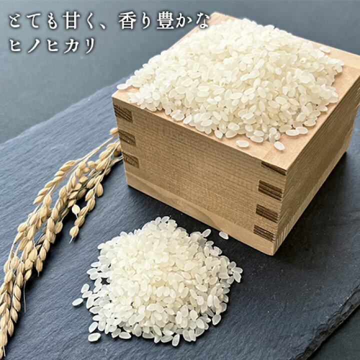 楽天市場】令和7年度産 大分県豊後高田市産 荘園米(しょうえんまい 