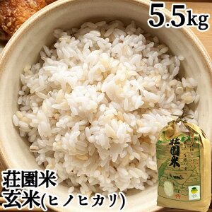 ߘa7NxY 啪L㍂csY (傤܂) qmqJ  5.5kg ĐH   Ђ̂Ђ ቷɊǗ _ BY ̗iψyz