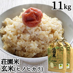 ߘa7NxY 啪L㍂csY (傤܂) qmqJ  11kg(5.5kg×2) ĐH   Ђ̂Ђ ቷɊǗ _ BY ̗iψyz