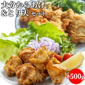 やわらかジューシーな 大分からあげ(醤油にんにく味)＆とり天セット 各500gセット 国産鶏肉 モモ肉 ムネ肉 唐揚げ 鶏の天ぷら お惣菜 おかず 冷凍 ネクサ【送料込】