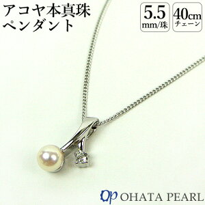 YAR^ 5.5~& y_g( pWE `F[40cm KX) {^ WG[ Vv I[n^p[yMtgzyz