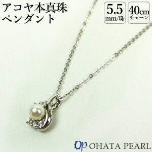 YAR^ 5.5~& Ԃy_g( pWE `F[40cm KX) {^ WG[ Vv I[n^p[yMtgzyz